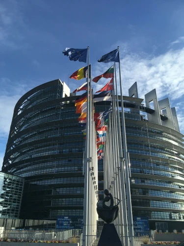 laura mazzei lh7xusplhxa unsplash